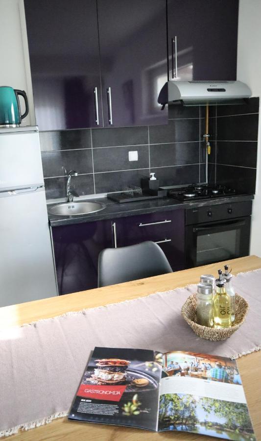 Apartment Sandra Toplice Sveti Martin Sveti Martin Na Muri Dış mekan fotoğraf