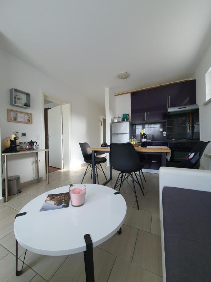 Apartment Sandra Toplice Sveti Martin Sveti Martin Na Muri Dış mekan fotoğraf